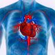 Как проводится оценка сердечнососудистой системы