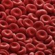 Буферные системы крови поддерживают постоянный кислотно-щелочной баланс организма
