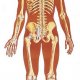 Основные симптомы рака костей
