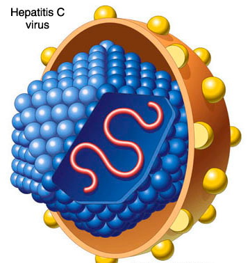 Противовирусная терапия при гепатите С