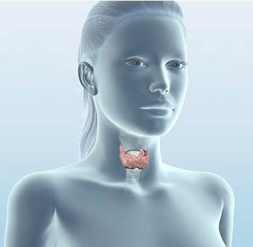 Пониженная функция щитовидной железы и её причины