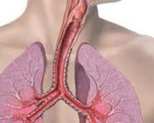 Одышка - это затруднение прохождения воздуха в лёгкие или из лёгких