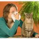 Симптомы аллергии на кошек: как распознать проявления болезни?