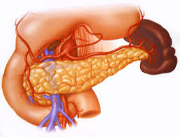 Под панкреатитом подразумевают болезнь, вследствие которой страдает поджелудочная железа