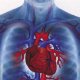 Синдром реполяризации сердца: симптомы, лечение, прогнозы