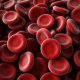 Узнайте, как быстро повысить уровень гемоглобина в крови