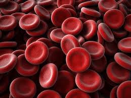 Узнайте, как быстро повысить уровень гемоглобина в крови