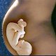Норма содержания лейкоцитов в мазке при беременности: допустимые значения