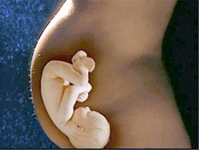 Норма содержания лейкоцитов в мазке при беременности: допустимые значения