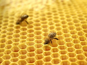Продукты пчеловодства иногда вызывают аллергическую реакцию