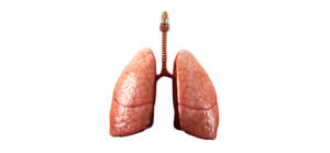 Туберкулез входит в число социальных заболеваний, чье появление непосредственно связано с условиями жизни