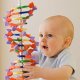 Какие существуют генетические заболевания, передающиеся по наследству?