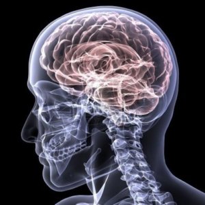 Что полезно для сосудов головного мозга: основные препараты, показания, правила приема