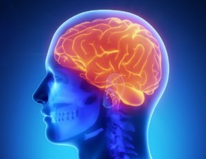 Неврологические болезни - результат частых стрессов и различных травм 