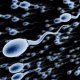 Сколько должно быть спермы: норма и отклонения