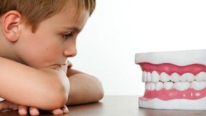Зубы - важная составляющая часть ротовой полости