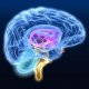 Признаки и лечение сужения сосудов головного мозга