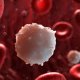 Повышенные лейкоциты в анализе крови: лечение лейкоцитоза