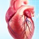 Сердечный выброс: норма и причины отклонения