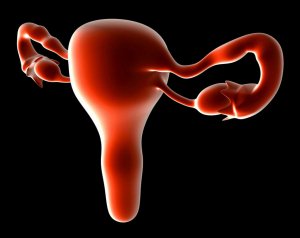 Репродуктивная функция женщины и большие размеры матки
